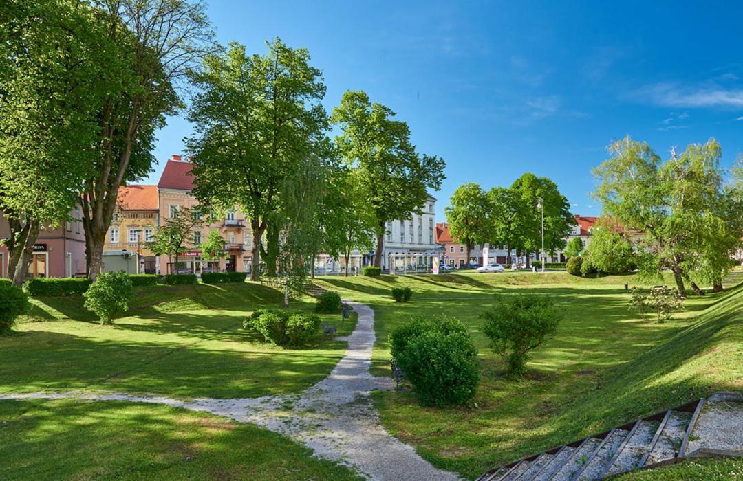 Guest House Studio Apartman Marina - With Jacuzzi, Free Parking, Pet Friendly Карловаць Екстер'єр фото